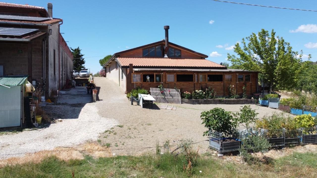 Az.Agr.Poggio Regini Apartment Castellina in Chianti Exterior photo